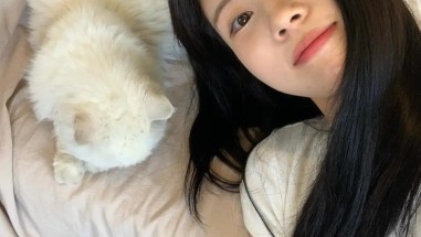 フレックスTV | バナー